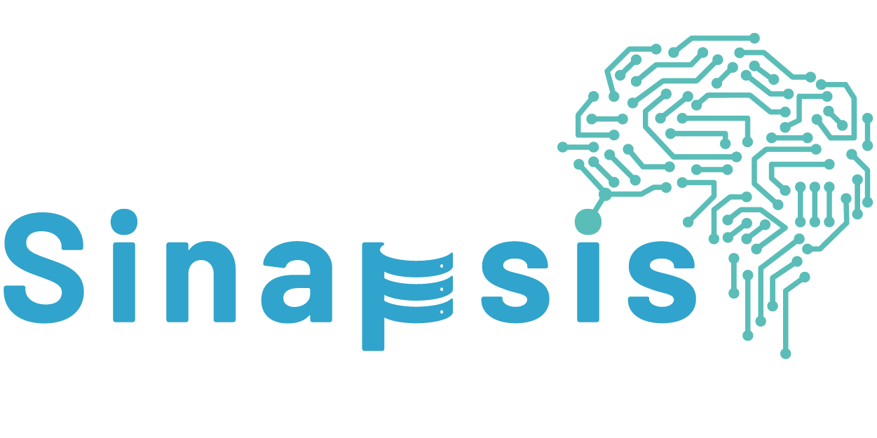 Sinapsis Data Solution